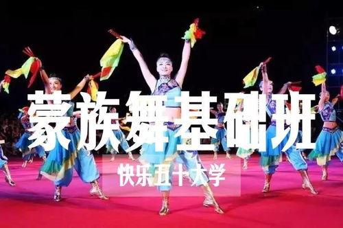 宠爱舞蹈搞笑版,萌宠舞动，欢乐无限  第3张